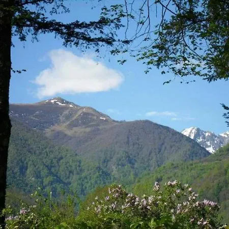 Campsite 3 Etoiles - Piscine - Ccaihfi *