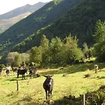 Zecamping 3 Bien-être Espace Aquatique Hammam Bain à Remou Et Sauna 3*