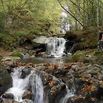 Zecamping 3 Bien-être Espace Aquatique Hammam Bain à Remou Et Sauna