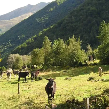 3 Etoiles - Piscine - Ccaihfi *