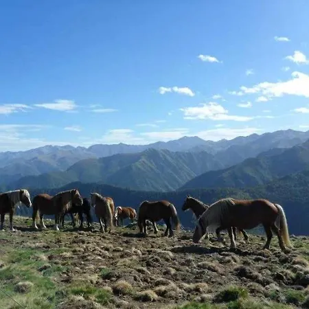 3 Etoiles - Piscine - Ccaihfi 캠프장
