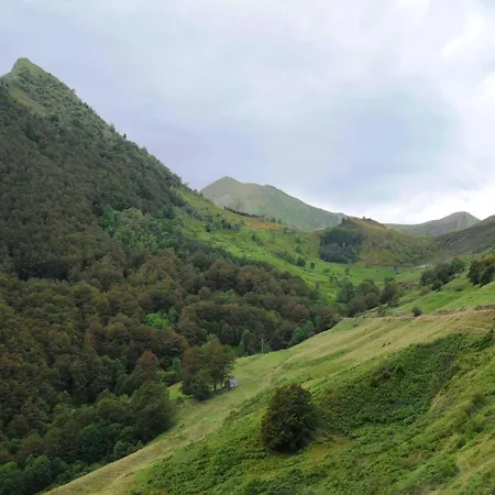 Zecamping 3 Bien-être Espace Aquatique Hammam Bain à Remou Et Sauna