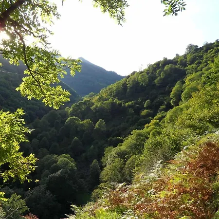 3 Etoiles - Piscine - Ccaihfi Се