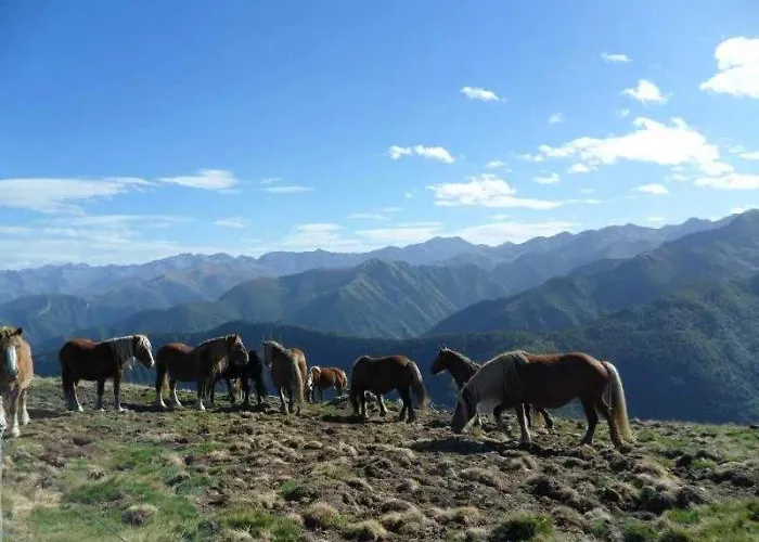 3 Etoiles - Piscine - Ccaihfi Кемпинг