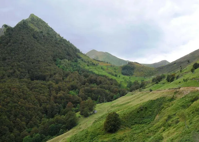 3 Etoiles - Piscine - Ccaihfi